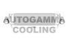 AUTOGAMMA 105369 Intercooler, charger